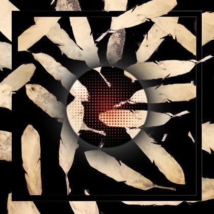 Silk Scarves Printed Model 11